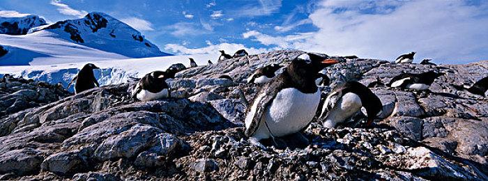 首届奥林匹克电子竞技周比赛项目公布 包含《舞力全开》《GT赛车》等