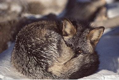 手绘风格游戏《成土市的我》上架Steam 2022年发售